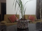 Recycle Flower pot